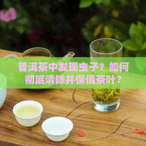 普洱茶中发现虫子？如何彻底清除并保值茶叶？