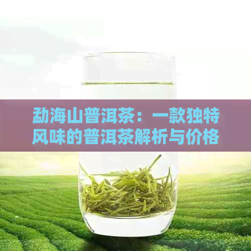 勐海山普洱茶：一款独特风味的普洱茶解析与价格探讨