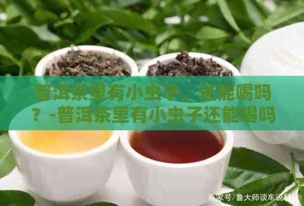 普洱茶里有小虫子，还能喝吗？-普洱茶里有小虫子还能喝吗