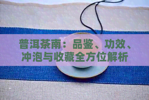 普洱茶南：品鉴、功效、冲泡与收藏全方位解析