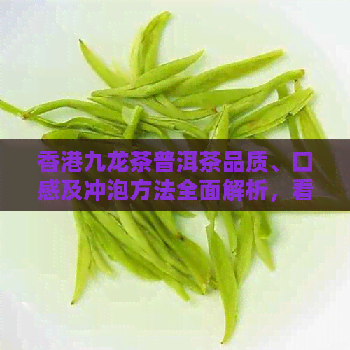 九龙茶普洱茶品质、口感及冲泡方法全面解析，看看是否适合你的口味！