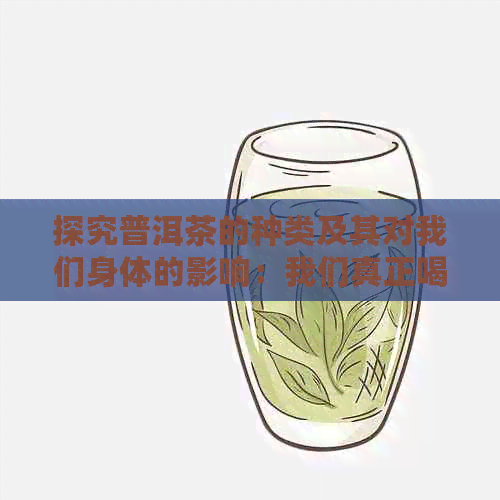 探究普洱茶的种类及其对我们身体的影响：我们真正喝过的是哪一种？