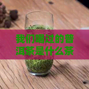 我们喝过的普洱茶是什么茶类？有什么用途和特点？