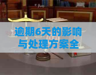 逾期6天的影响与处理方案全解析