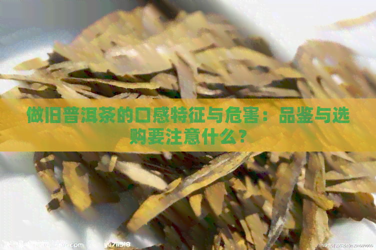 做旧普洱茶的口感特征与危害：品鉴与选购要注意什么？