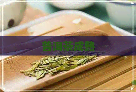 普洱茶成熟