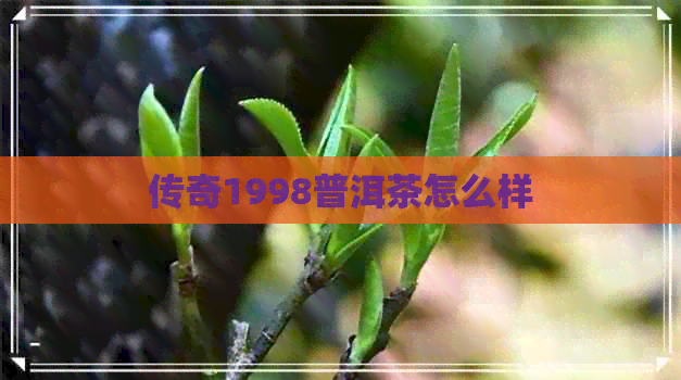 传奇1998普洱茶怎么样