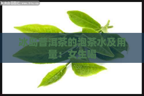 冰岛普洱茶的泡茶水及用量：女生喝