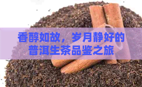 香醇如故，岁月静好的普洱生茶品鉴之旅