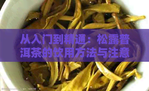 从入门到精通：松露普洱茶的饮用方法与注意事项，让您全面掌握品茗技巧