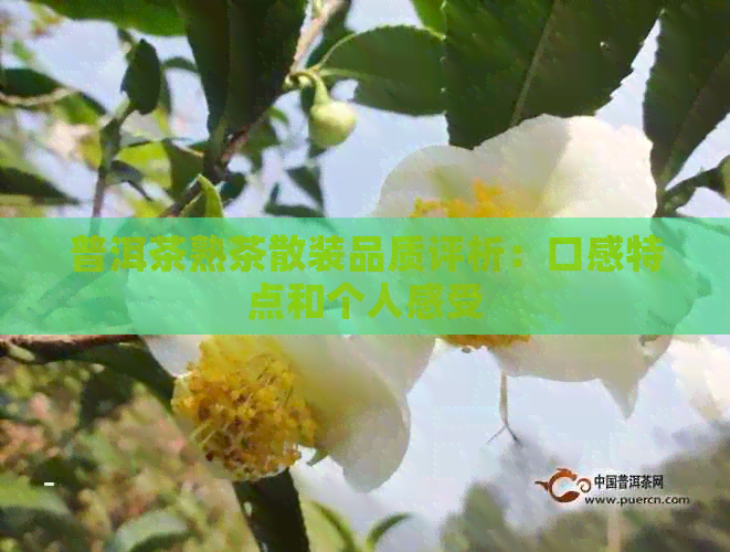 普洱茶熟茶散装品质评析：口感特点和个人感受