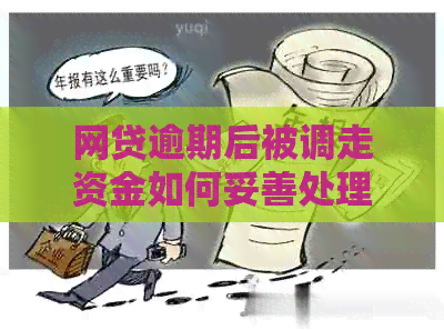 网贷逾期后被调走资金如何妥善处理？