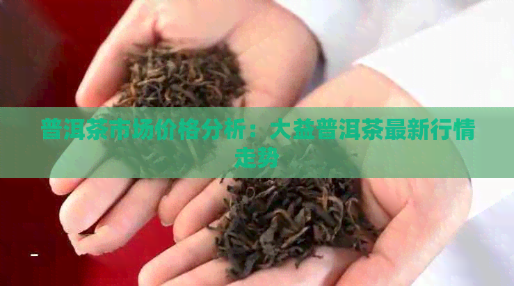 普洱茶市场价格分析：大益普洱茶最新行情走势