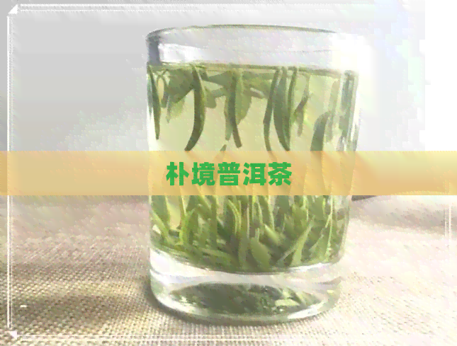 朴境普洱茶