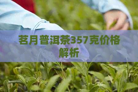 茗月普洱茶357克价格解析