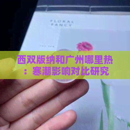 西双版纳和广州哪里热：寒潮影响对比研究