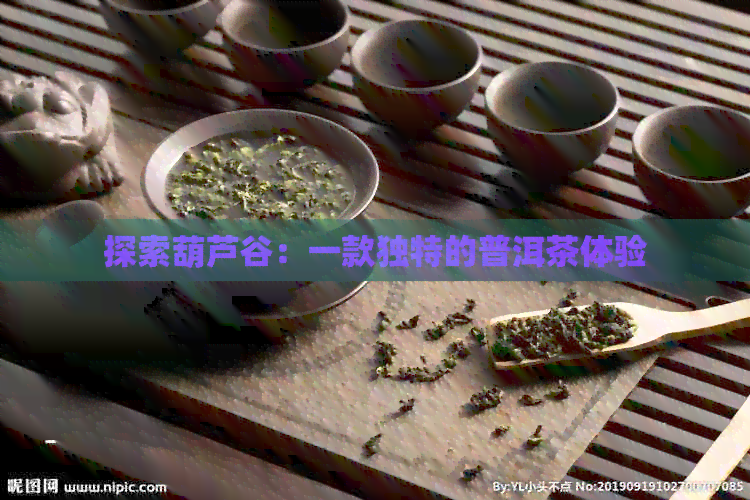 探索葫芦谷：一款独特的普洱茶体验