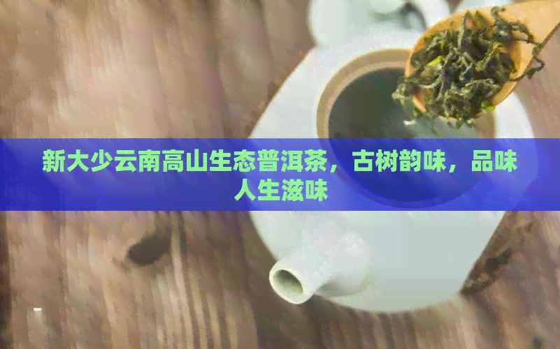 新大少云南高山生态普洱茶，古树韵味，品味人生滋味