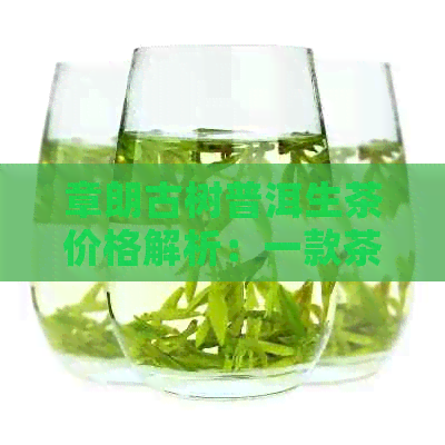 章朗古树普洱生茶价格解析：一款茶叶的独特魅力与价值探讨