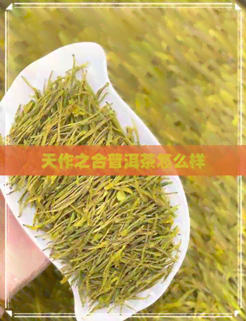 天作之合普洱茶怎么样