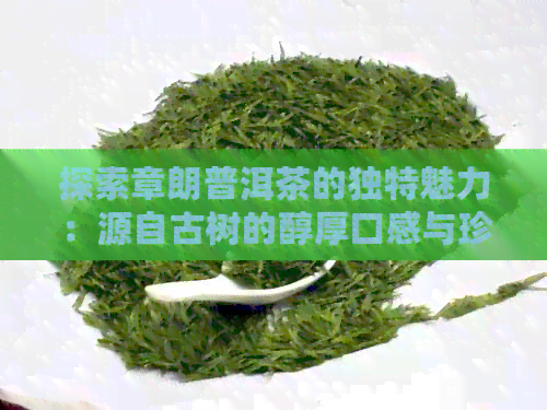 探索章朗普洱茶的独特魅力：源自古树的醇厚口感与珍贵产地