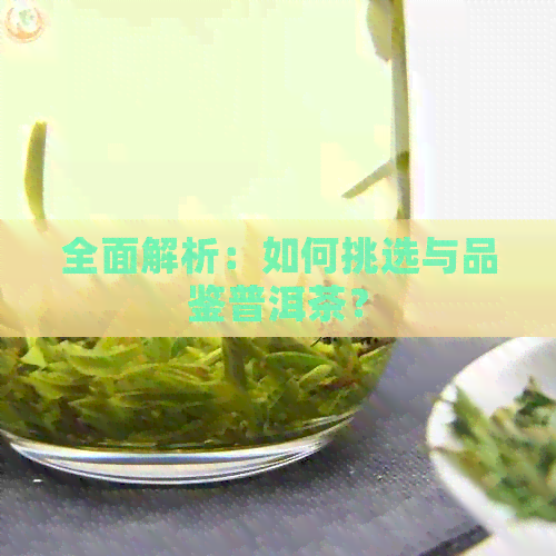 全面解析：如何挑选与品鉴普洱茶？