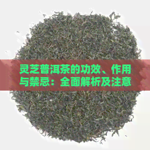 灵芝普洱茶的功效、作用与禁忌：全面解析及注意事项