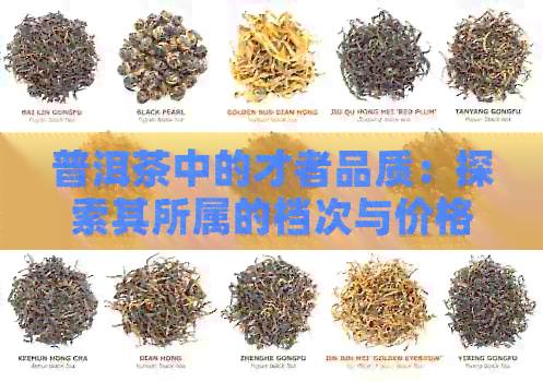 普洱茶中的才者品质：探索其所属的档次与价格