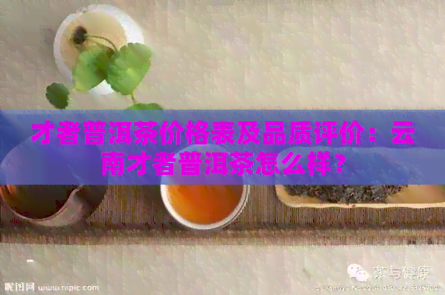 才者普洱茶价格表及品质评价：云南才者普洱茶怎么样？