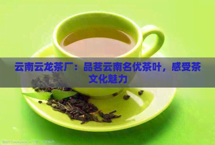 云南云龙茶厂：品茗云南名优茶叶，感受茶文化魅力