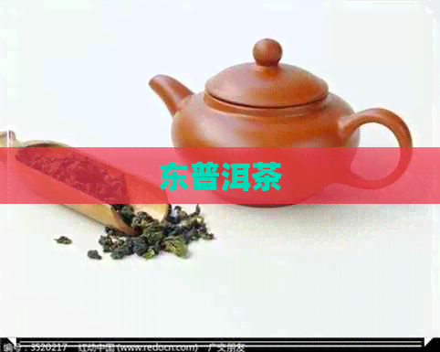 东普洱茶