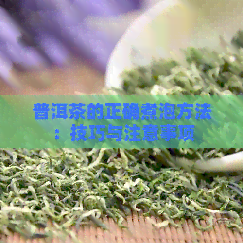 普洱茶的正确煮泡方法：技巧与注意事项