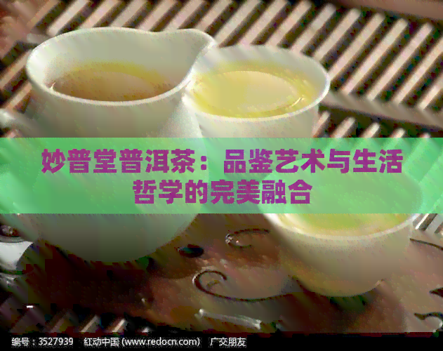 妙普堂普洱茶：品鉴艺术与生活哲学的完美融合