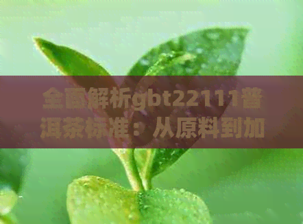 全面解析gbt22111普洱茶标准：从原料到加工、品质与鉴别方法的详细指南