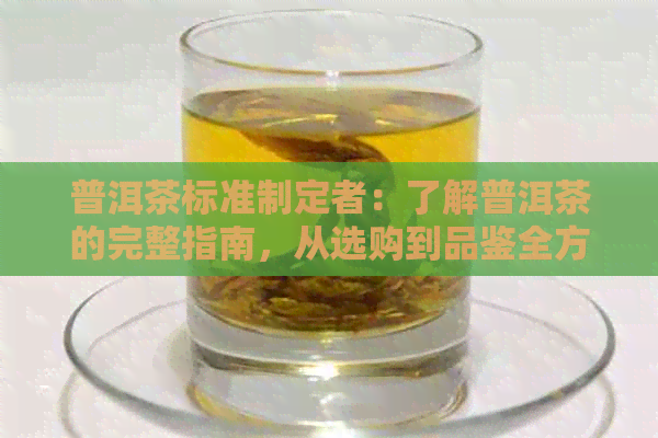 普洱茶标准制定者：了解普洱茶的完整指南，从选购到品鉴全方位解析