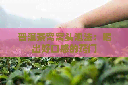 普洱茶窝窝头泡法：喝出好口感的窍门