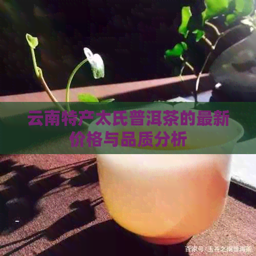 云南特产太氏普洱茶的最新价格与品质分析