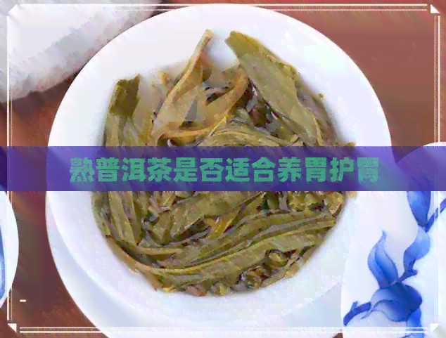 熟普洱茶是否适合养胃护胃