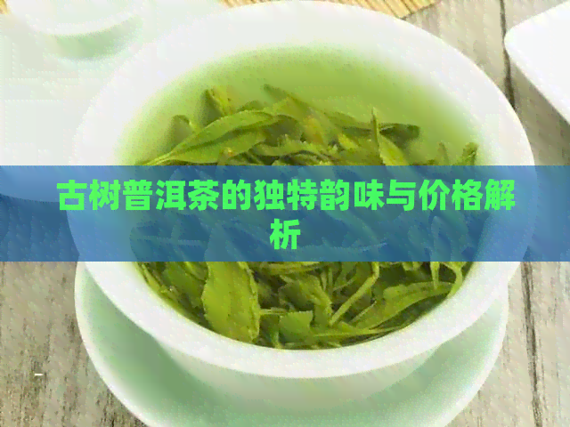 古树普洱茶的独特韵味与价格解析