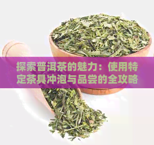 探索普洱茶的魅力：使用特定茶具冲泡与品尝的全攻略