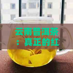 云南普洱茶：真正的红茶还是绿茶？揭秘其独特的发酵过程