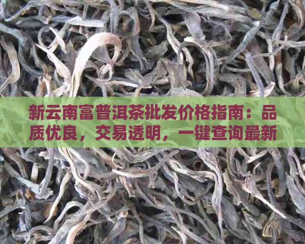 新云南富普洱茶批发价格指南：品质优良，交易透明，一键查询最新报价！