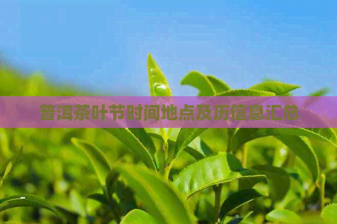 普洱茶叶节时间地点及历信息汇总