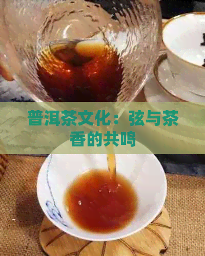 普洱茶文化：弦与茶香的共鸣