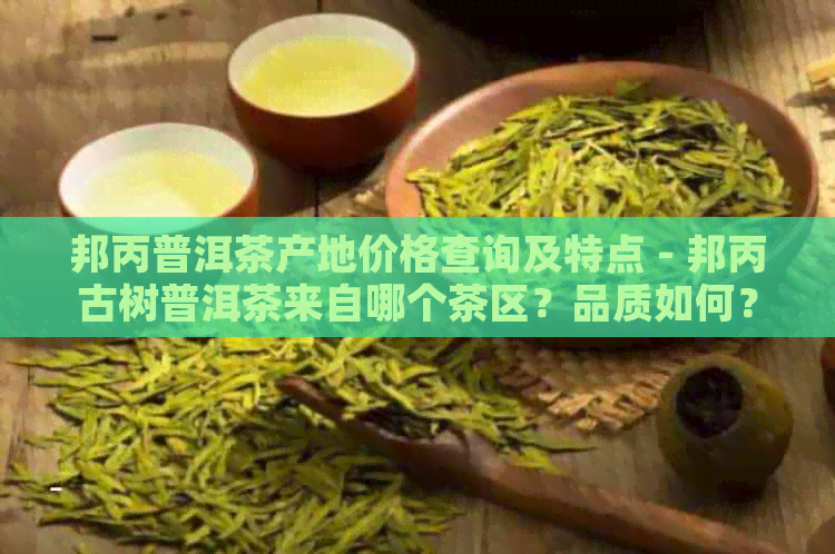 邦丙普洱茶产地价格查询及特点 - 邦丙古树普洱茶来自哪个茶区？品质如何？