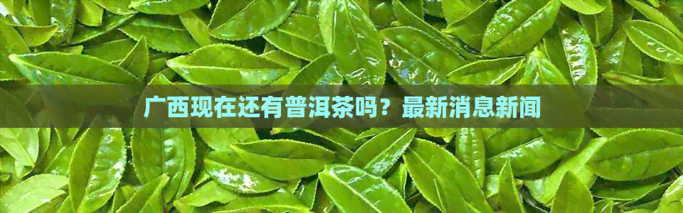 广西现在还有普洱茶吗？最新消息新闻