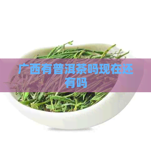 广西有普洱茶吗现在还有吗