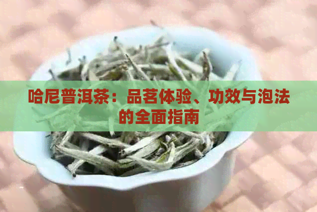 哈尼普洱茶：品茗体验、功效与泡法的全面指南