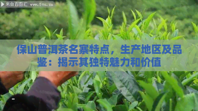 保山普洱茶名寨特点，生产地区及品鉴：揭示其独特魅力和价值