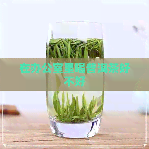 在里喝普洱茶好不好